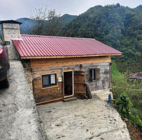 Amiras Dağevi